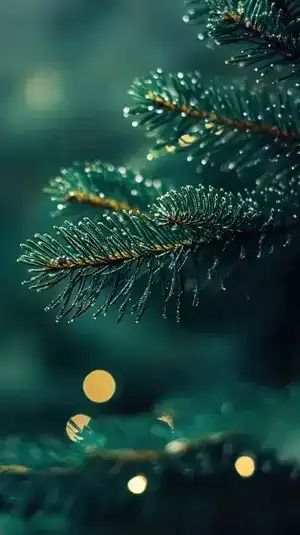 category of christmas