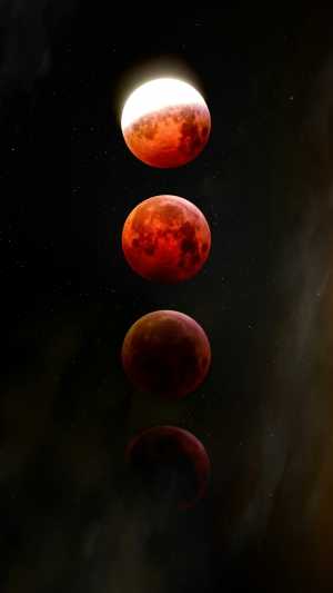 category of red