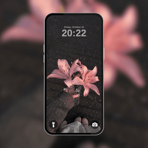 Pink Lilies in Hand