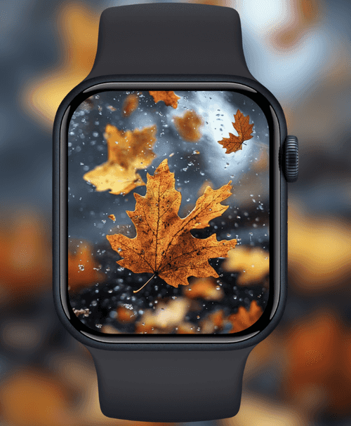 Autumn Leaves in Rain Splash
