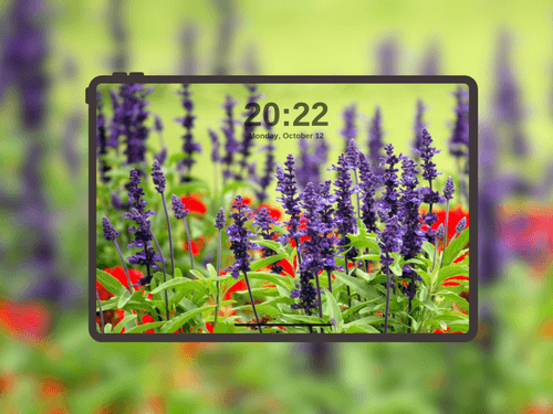 Vibrant Purple Salvia Blossoms