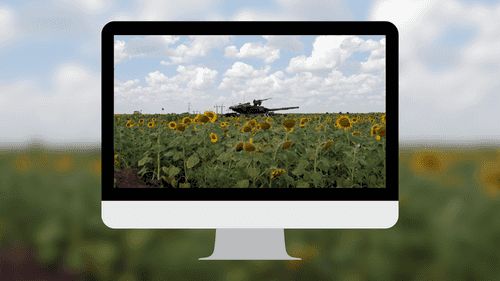 Military Tank in Sunflower Field