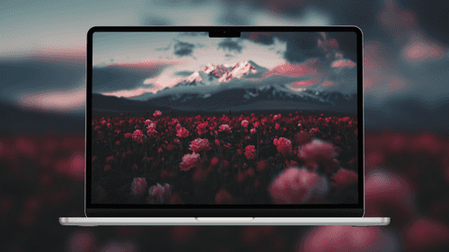 Blooming Rose Field