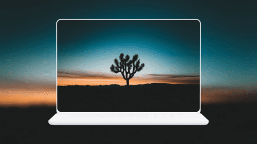 Joshua Tree Silhouette at Desert
