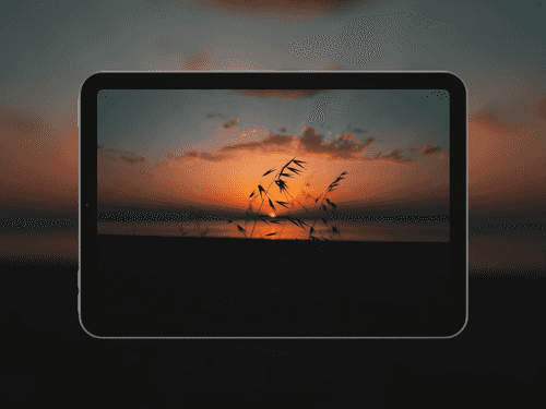 Sunset Grass Silhouette