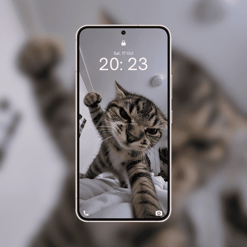 Punching Cat Selfie