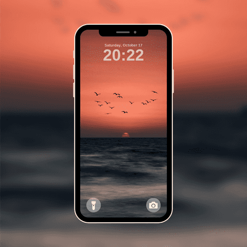 Ocean Birds Sunset