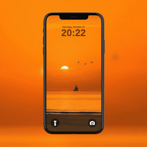Sunset Sail & Birds