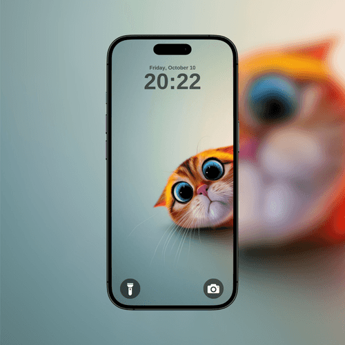 Curious Orange Cat