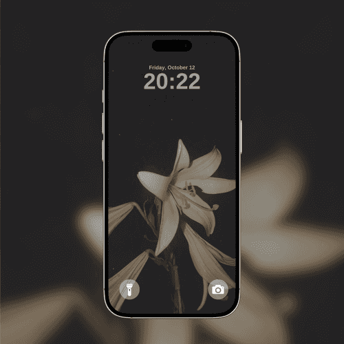 Night White Lily
