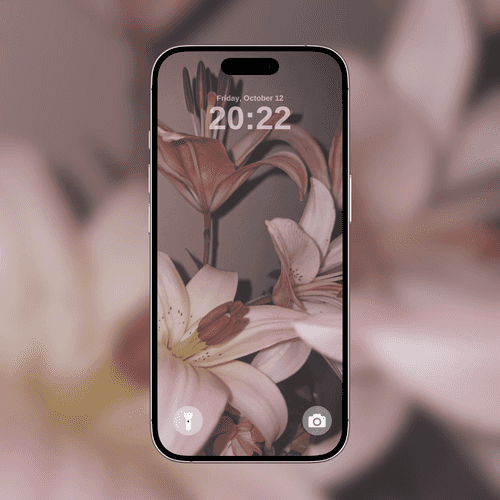Soft Pink Lilies