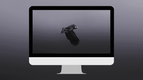 Majestic Flying Eagle