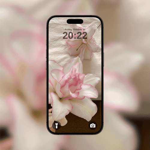 Ethereal Blush Lily