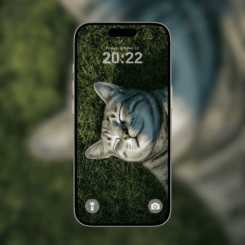 Sleeping Cat
