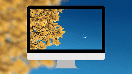 Golden Leaves Blue Sky Art