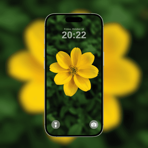 Yellow Flower
