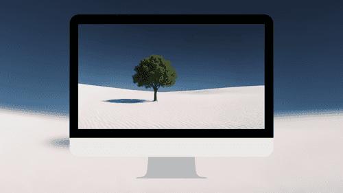 Tree in White Sand Dunes
