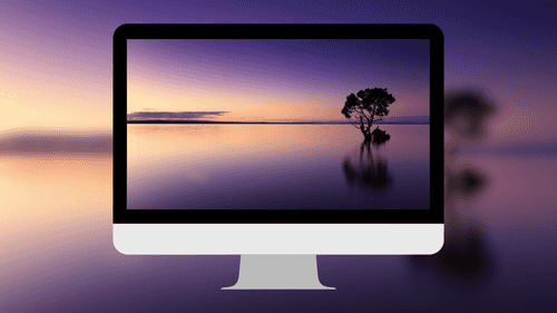 Tranquil Tree in Sea