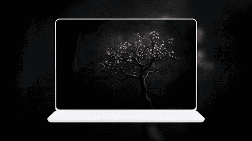 Blossom Tree in Dark