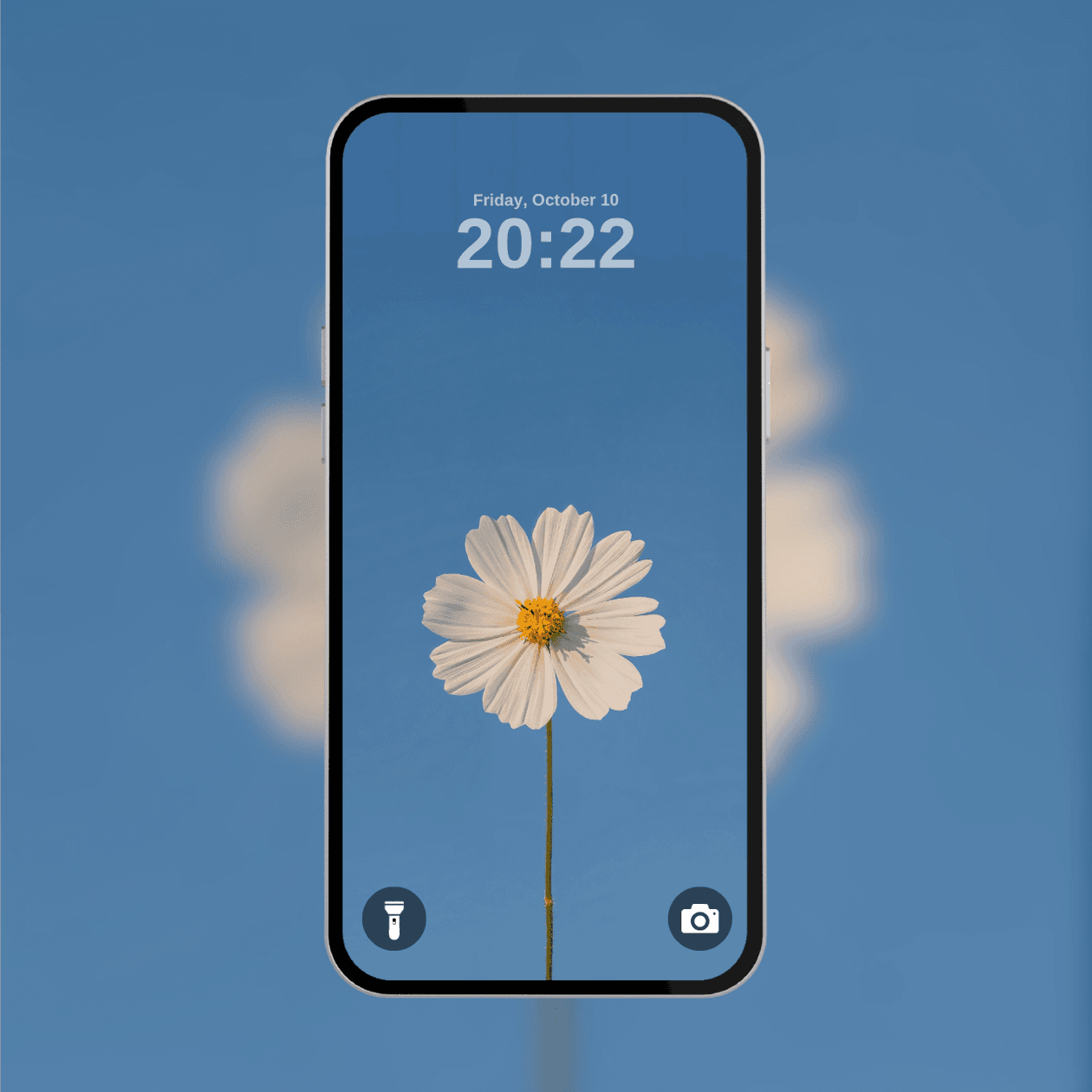 white-cosmos-flower