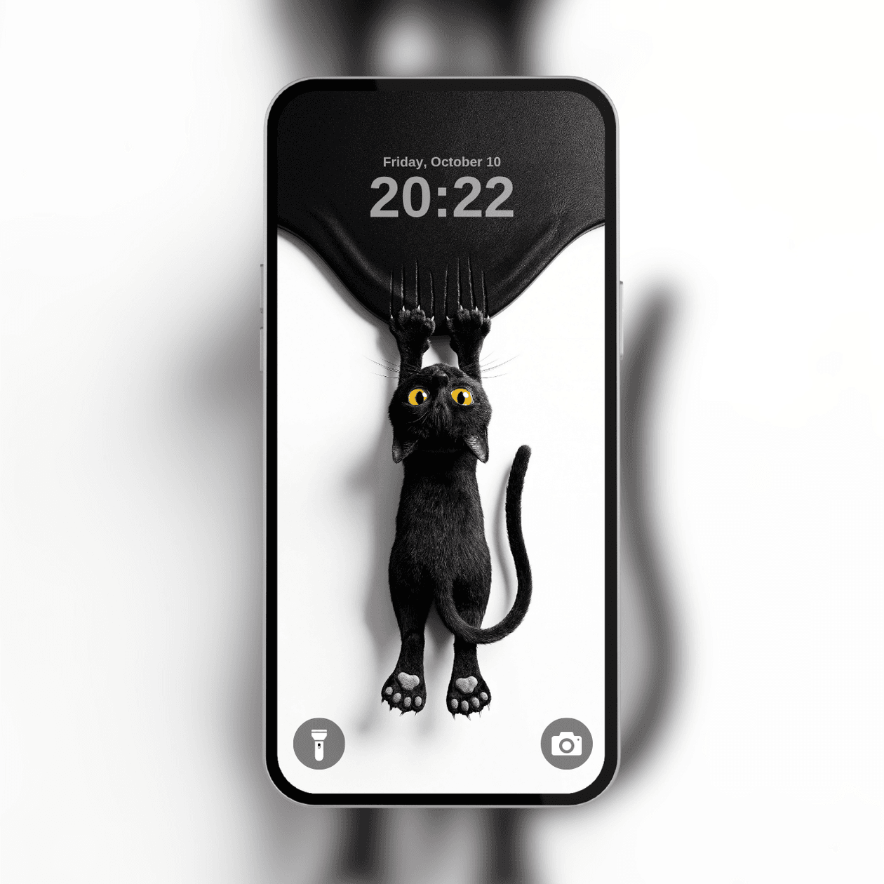 cute-black-cat-hanging