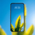 banana leaves in blue sky