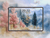 pastel frost mountain landscape