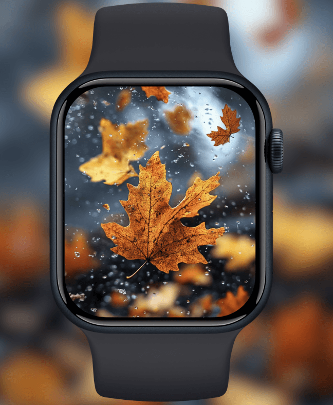 autumn-leaves-in-rain-splash