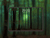 misty emerald forest glow