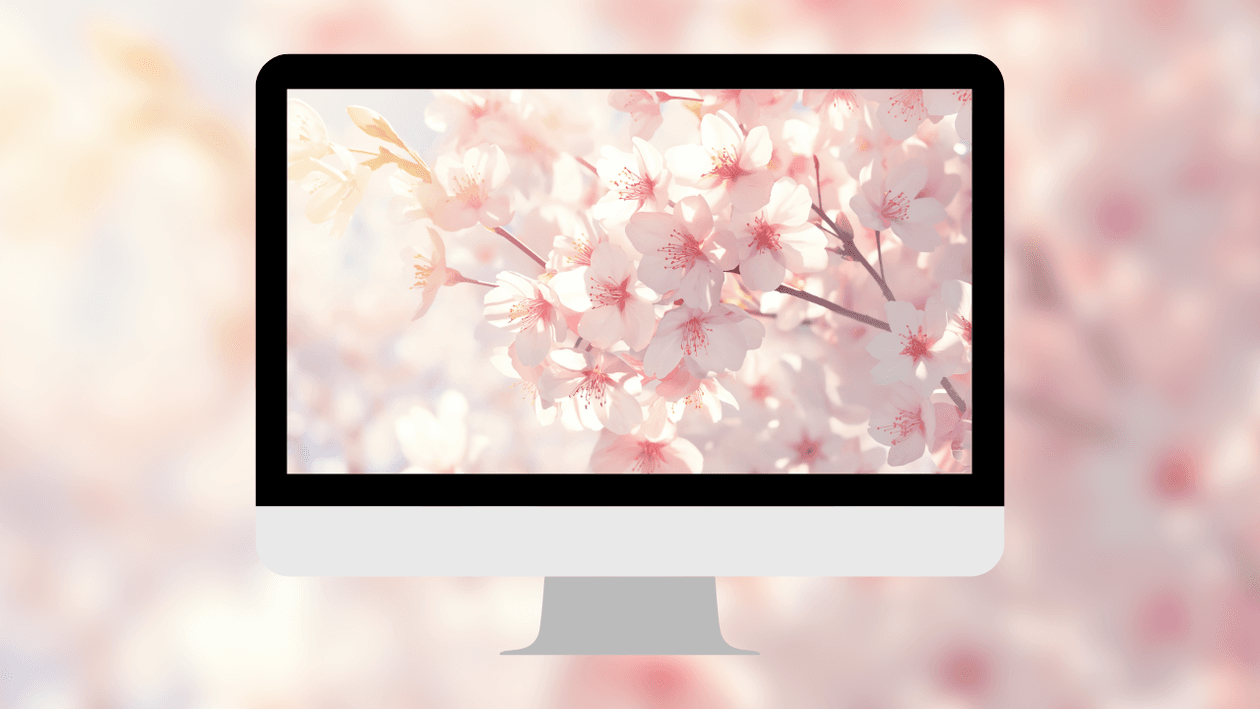 soft-pink-cherry-blossoms