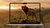 mufasa-the-lion-king