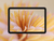 pastel bloom bloomware