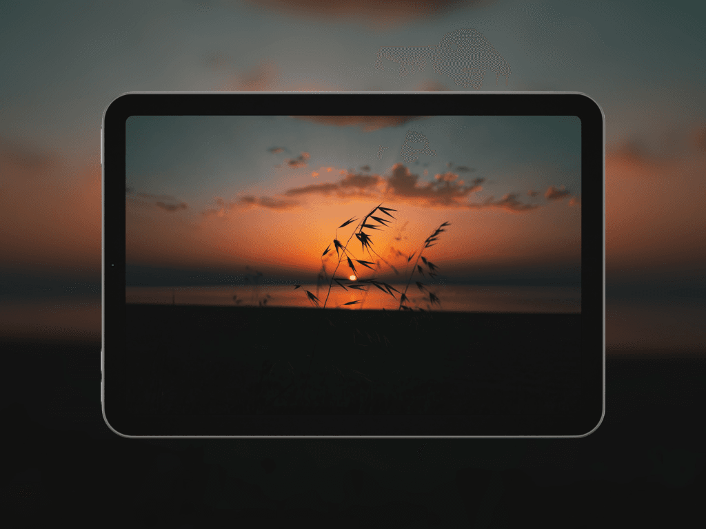 sunset-grass-silhouette