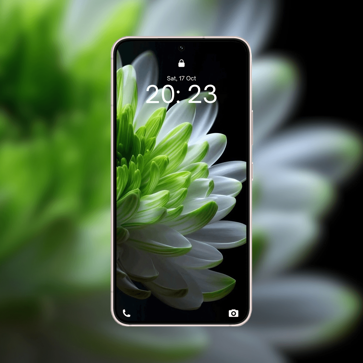 dark-mode-floral-macro