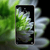 dark mode floral macro
