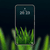 luminous green grass