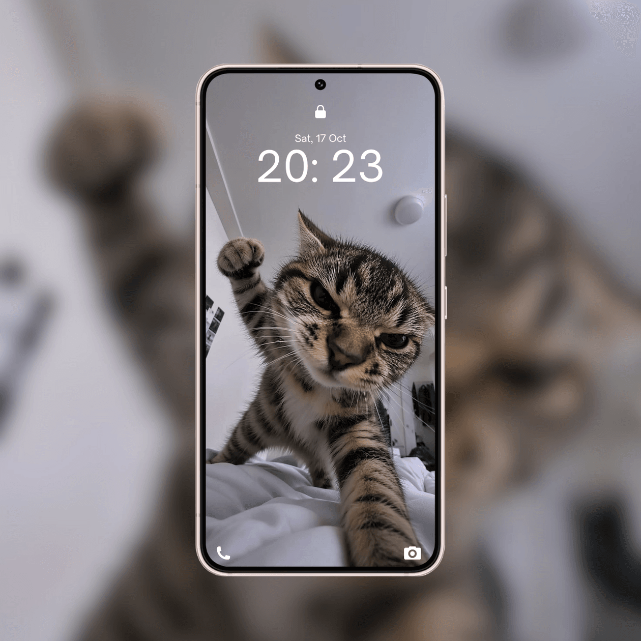 punching-cat-selfie