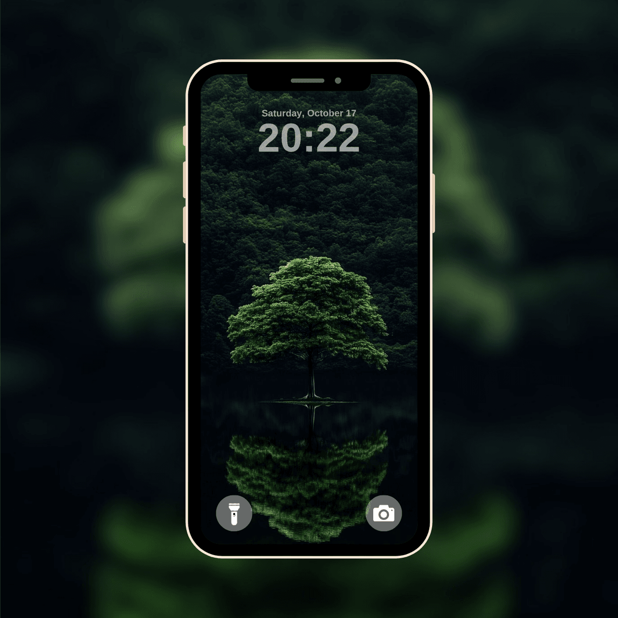 solitary-tree-reflection