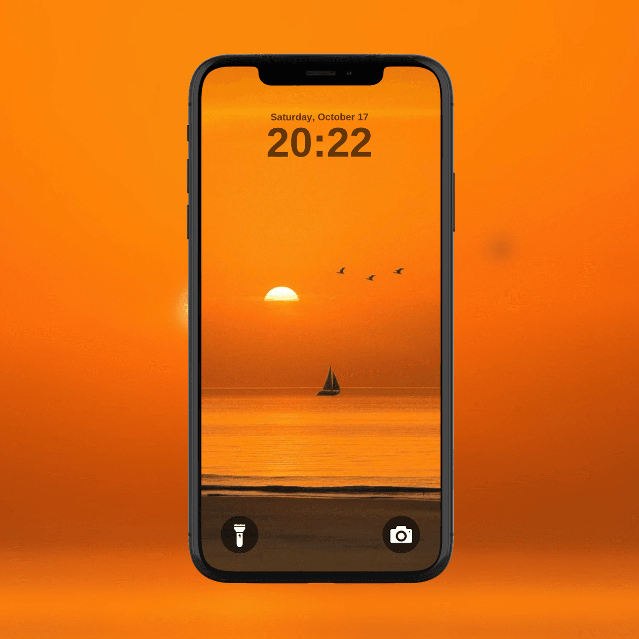 sunset-sail-and-birds