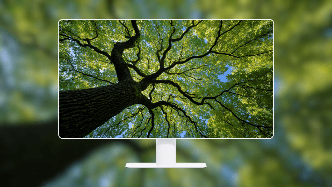 majestic-oak-tree