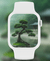 bonsai-tree