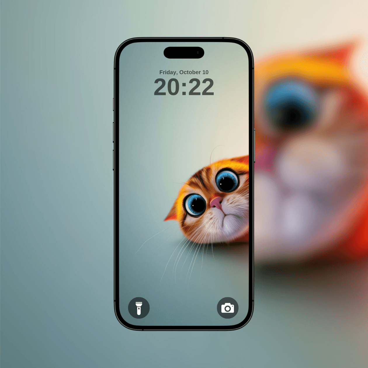 curious-orange-cat