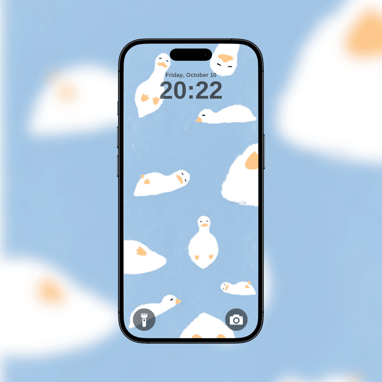 playful-floating-white-ducks