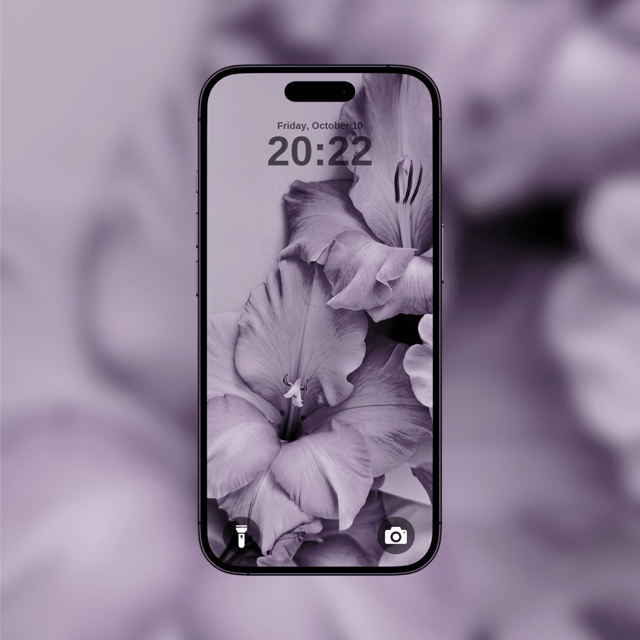 purple-gladiolus-blossoms