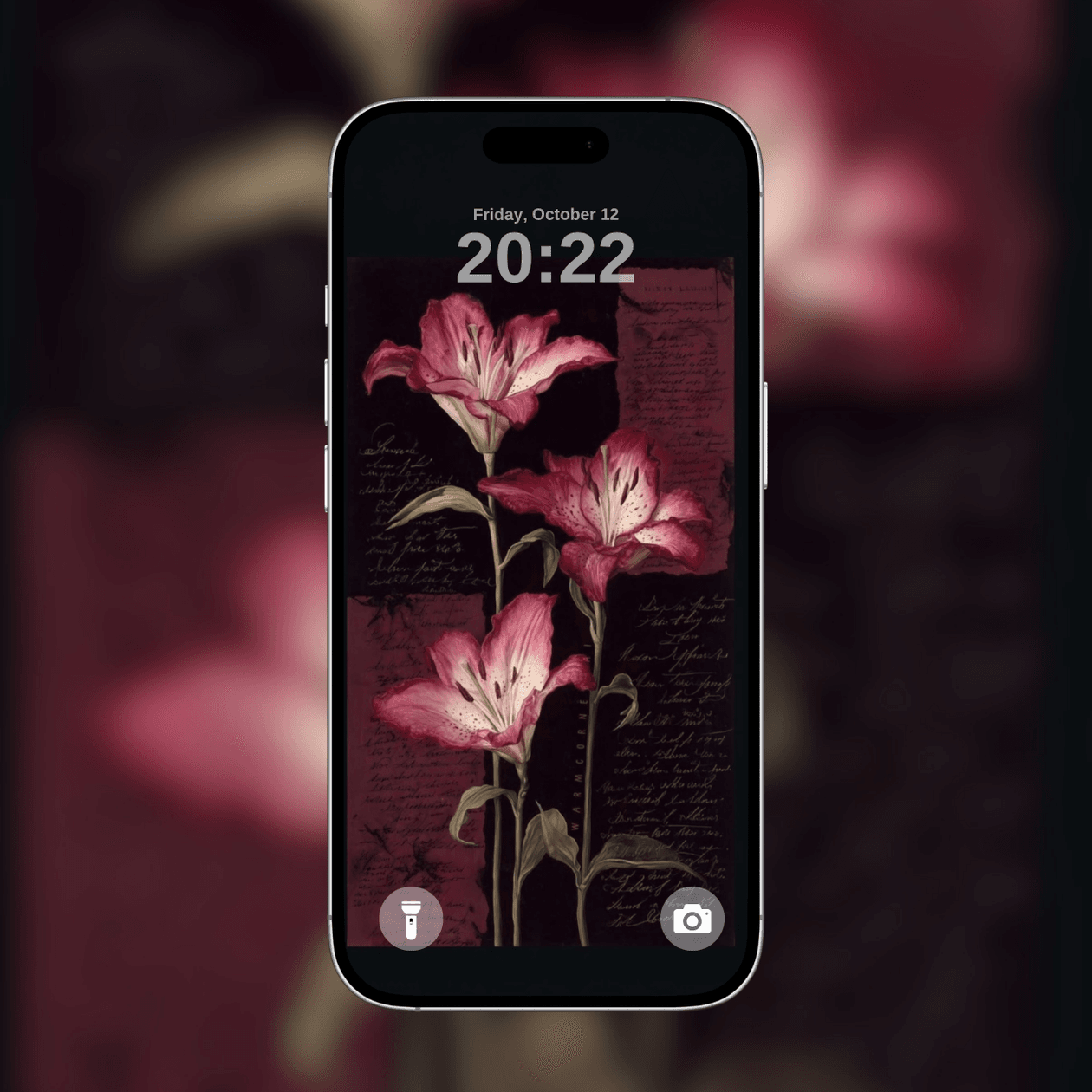 vintage-script-pink-lilies