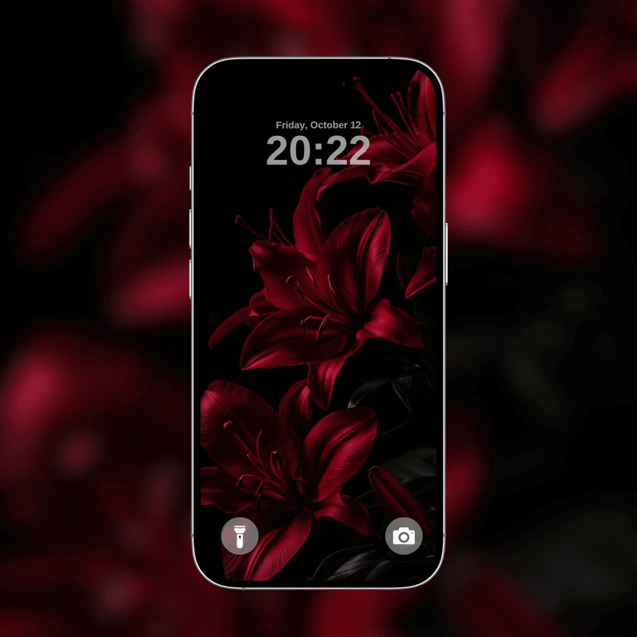dark-red-lilies
