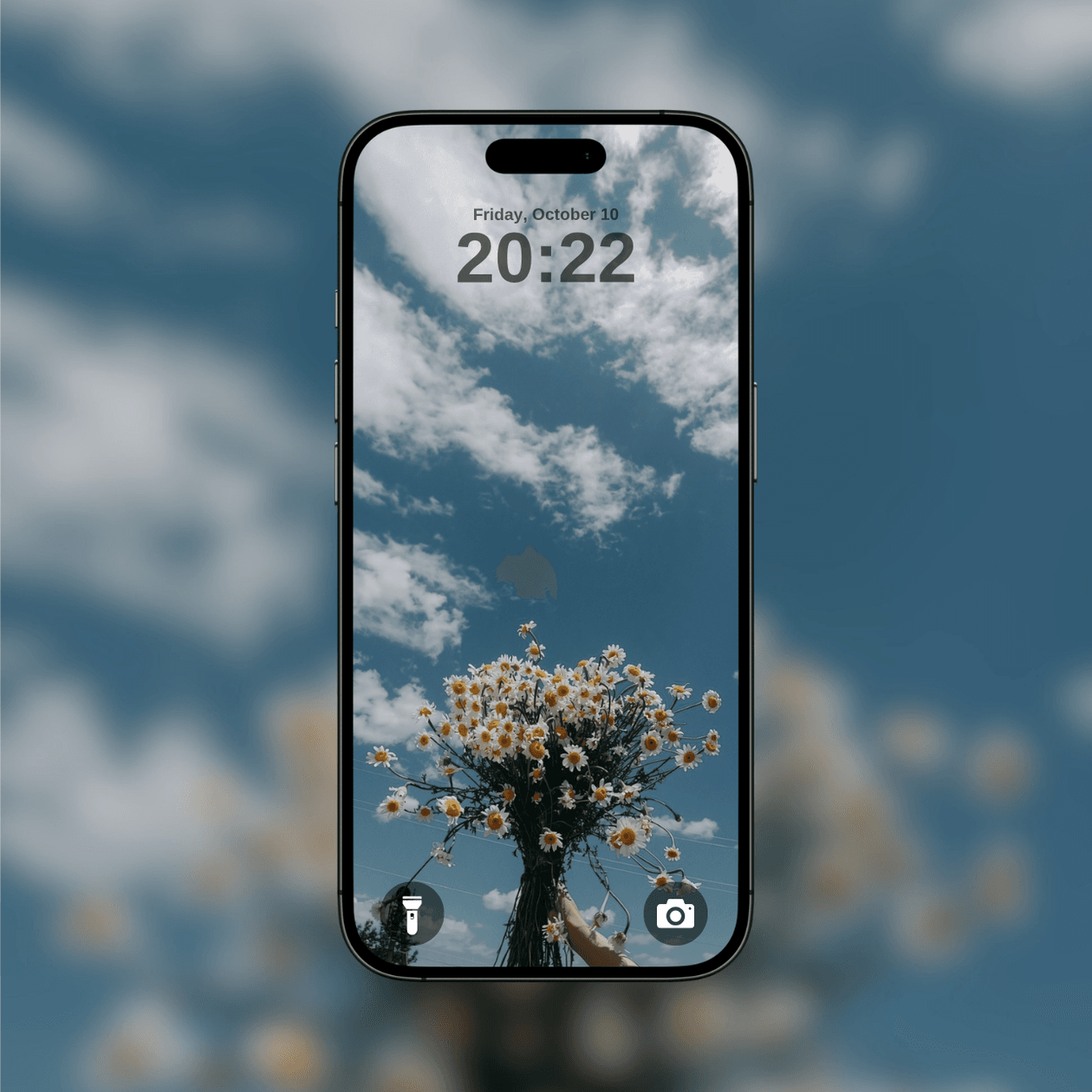 cheerful-daisy-bouquet-sky