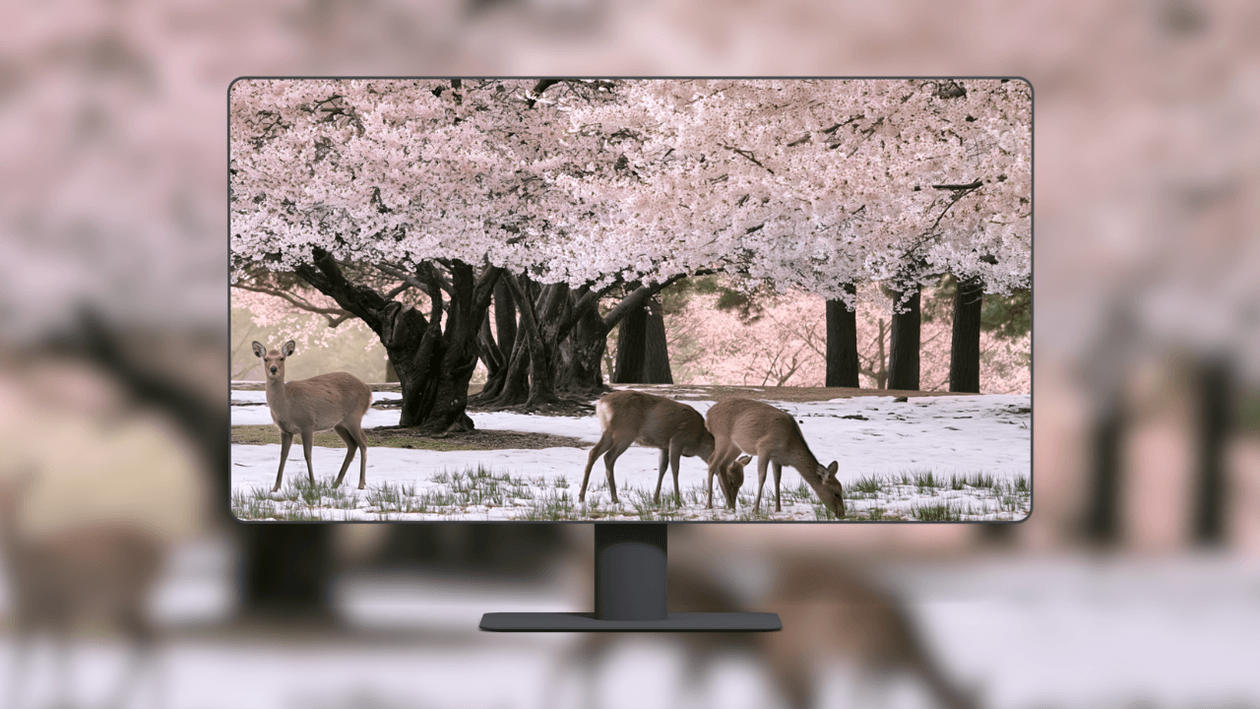 blossoms-with-deer
