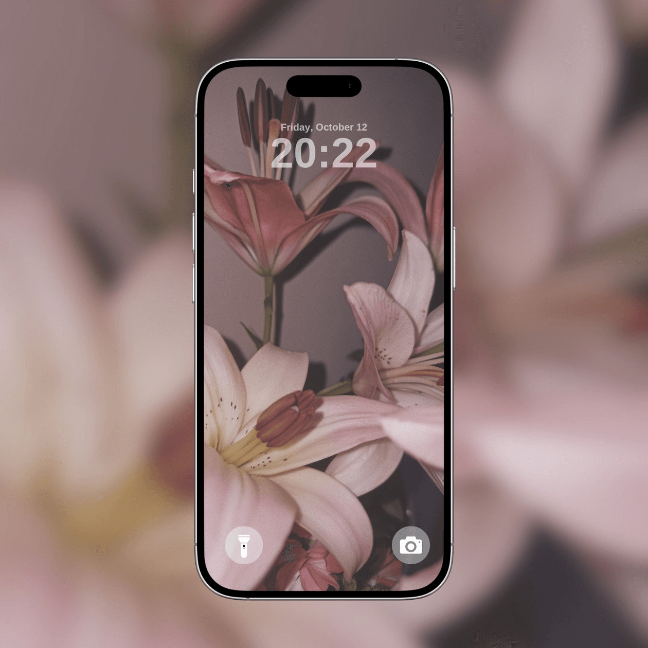 soft-pink-lilies