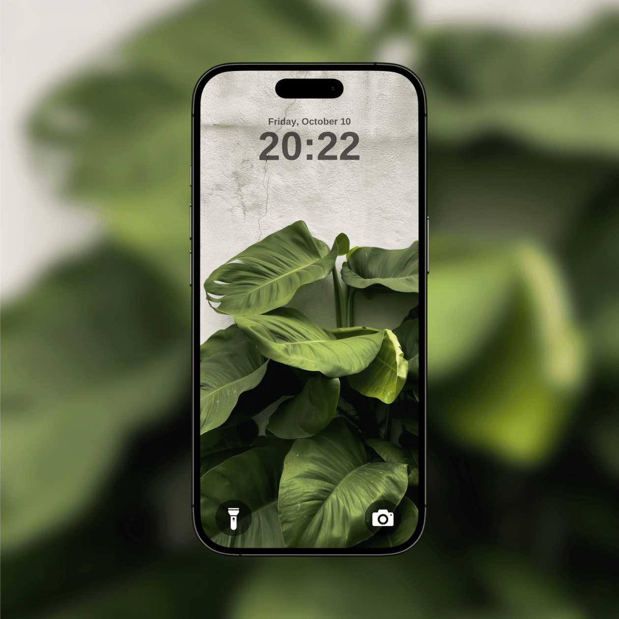 lush-green-foliage